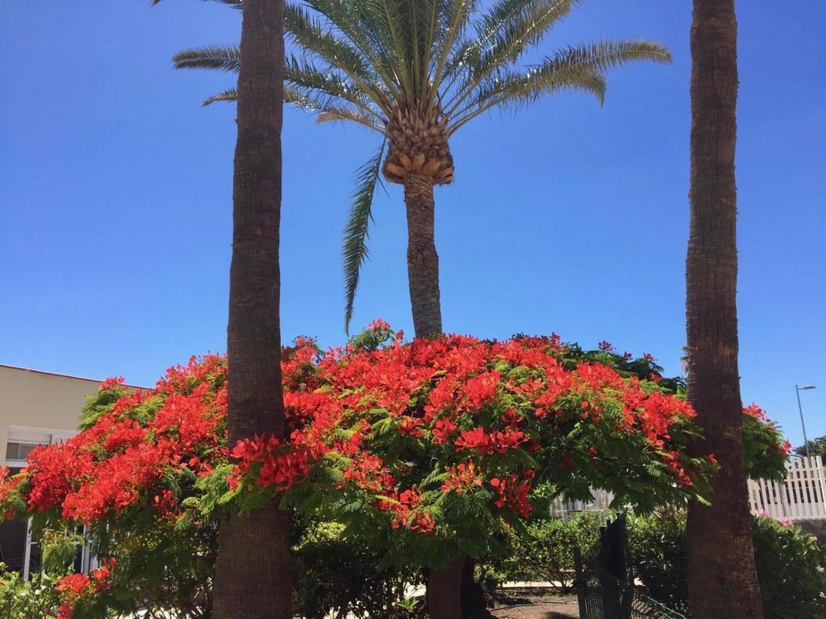 Bungalows Granada Beach Playa del Inglés Zewnętrze zdjęcie